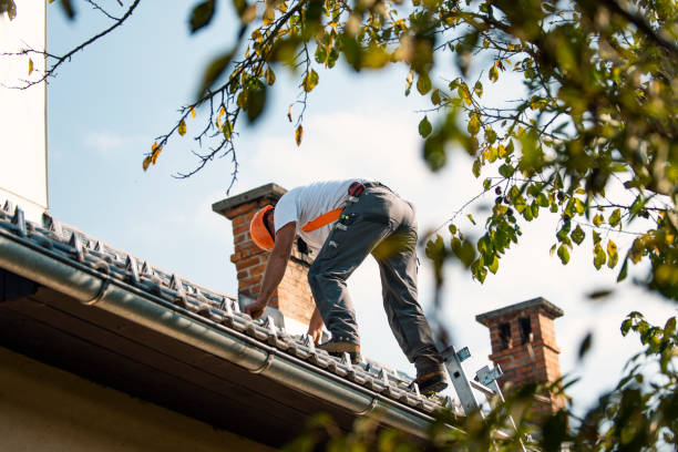 Best New Roof Installation  in Goldstream, AK