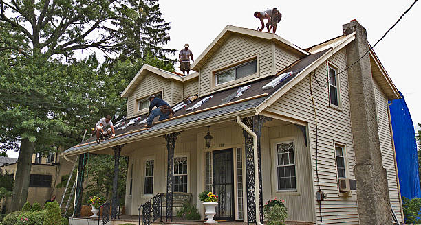 Best Roof Inspection Near Me  in Goldstream, AK
