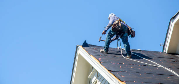 Professional Roofing Contractor in Goldstream, AK
